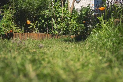 Zo wordt je tuin tegelijk mooi en eetbaar