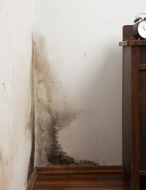 Bron afbeelding: Kelderwaterdicht.nl